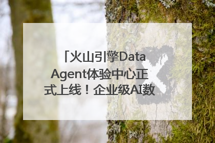 火山引擎Data Agent体验中心正式上线！企业级AI数据专家触手可及