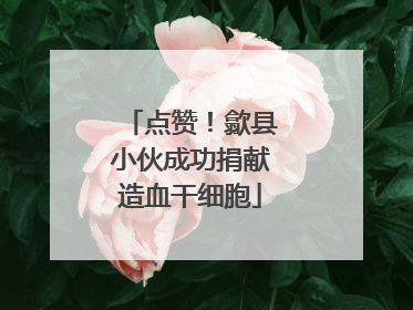 点赞！歙县小伙成功捐献造血干细胞