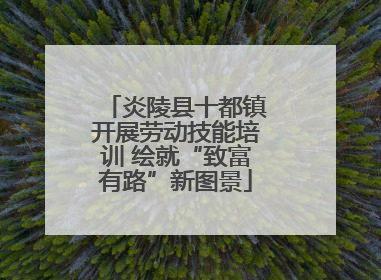 炎陵县十都镇开展劳动技能培训 绘就“致富有路”新图景