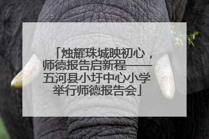 烛耀珠城映初心，师德报告启新程——五河县小圩中心小学举行师德报告会