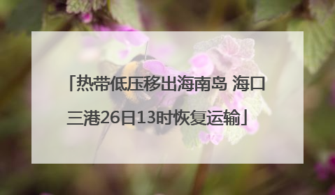 热带低压移出海南岛 海口三港26日13时恢复运输