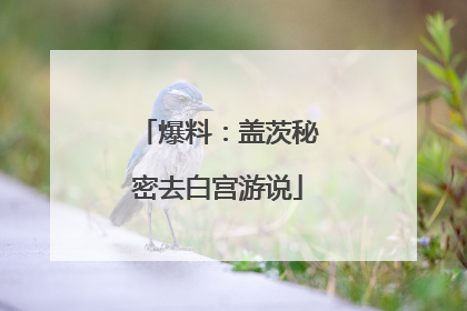 爆料：盖茨秘密去白宫游说