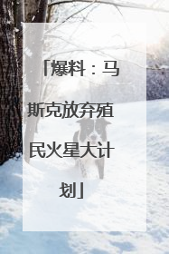 爆料：马斯克放弃殖民火星大计划