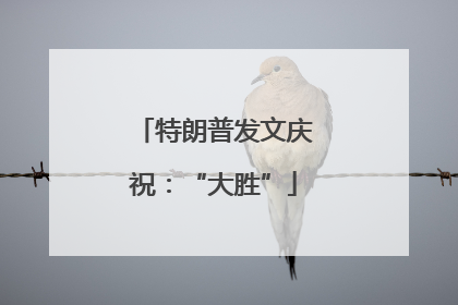 特朗普发文庆祝：“大胜”