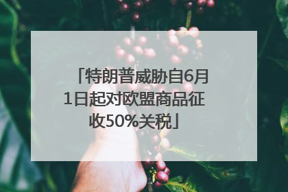 特朗普威胁自6月1日起对欧盟商品征收50%关税