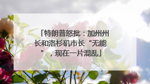 特朗普怒批：加州州长和洛杉矶市长“无能”，现在一片混乱