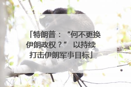 特朗普：“何不更换伊朗政权？” 以持续打击伊朗军事目标