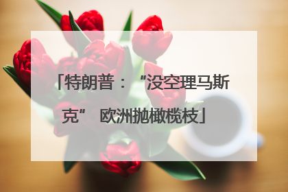 特朗普：“没空理马斯克” 欧洲抛橄榄枝