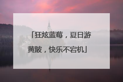 狂炫蓝莓，夏日游黄陂，快乐不宕机