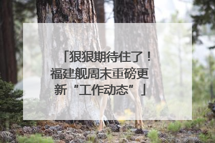 狠狠期待住了！福建舰周末重磅更新“工作动态”
