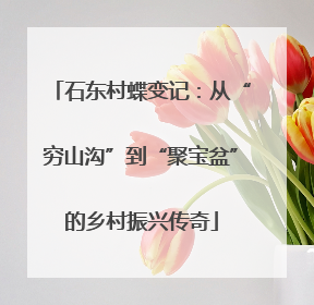 石东村蝶变记：从“穷山沟”到“聚宝盆”的乡村振兴传奇