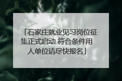 石家庄就业见习岗位征集正式启动 符合条件用人单位请尽快报名