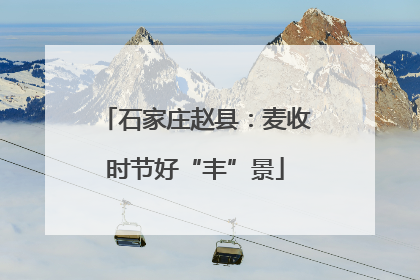石家庄赵县：麦收时节好“丰”景