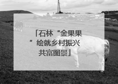 石林“金果果”绘就乡村振兴共富图景