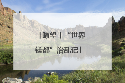 瞭望丨“世界镁都”治乱记