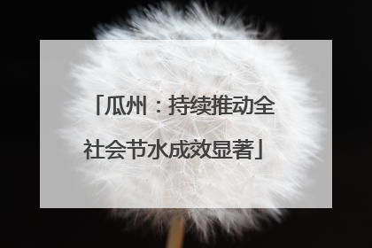 瓜州：持续推动全社会节水成效显著