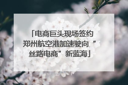 电商巨头现场签约 郑州航空港加速驶向“丝路电商”新蓝海