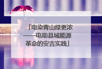 电染青山绿更浓——电助县域能源革命的安吉实践