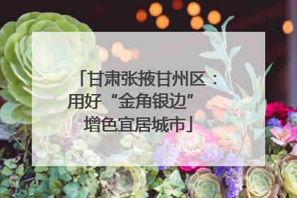 甘肃张掖甘州区：用好“金角银边” 增色宜居城市