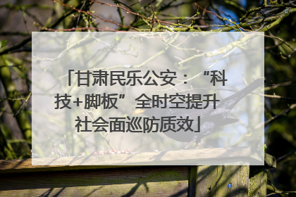 甘肃民乐公安：“科技+脚板”全时空提升社会面巡防质效