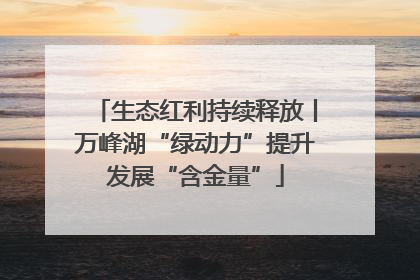 生态红利持续释放丨万峰湖“绿动力”提升发展“含金量”