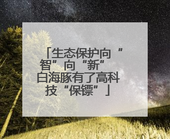 生态保护向“智”向“新” 白海豚有了高科技“保镖”