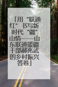 用“联通红”书写新时代“疆”山情——山东联通援疆干部郝兆武的乡村振兴答卷