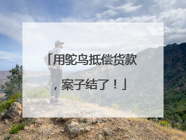 用鸵鸟抵偿货款，案子结了！