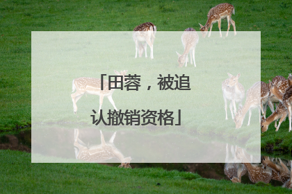 田蓉，被追认撤销资格