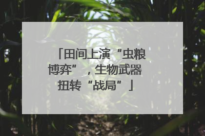 田间上演“虫粮博弈”，生物武器扭转“战局”