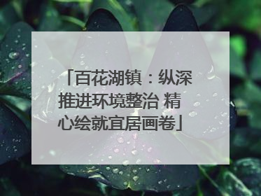 百花湖镇：纵深推进环境整治 精心绘就宜居画卷