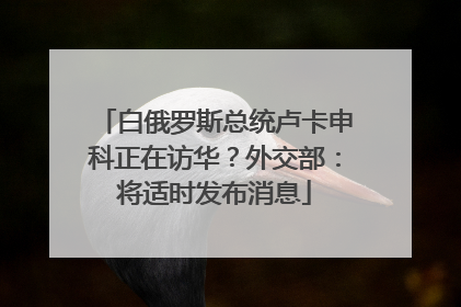 白俄罗斯总统卢卡申科正在访华？外交部：将适时发布消息