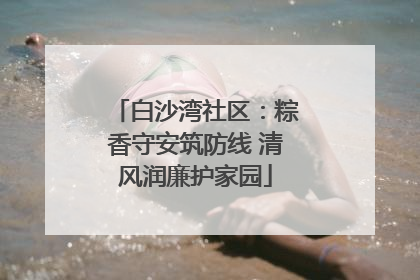 白沙湾社区：粽香守安筑防线 清风润廉护家园