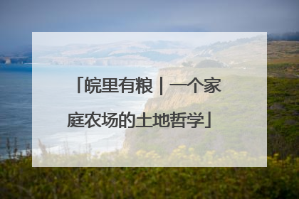 皖里有粮｜一个家庭农场的土地哲学