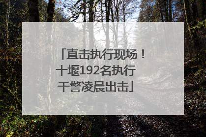 直击执行现场！十堰192名执行干警凌晨出击