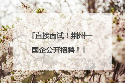 直接面试！荆州一国企公开招聘！