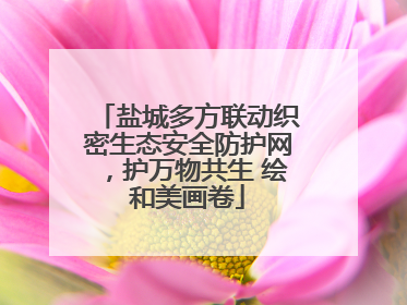 盐城多方联动织密生态安全防护网，护万物共生 绘和美画卷