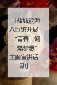 盐城滨海八巨镇开展“青春‘阅’燃梦想”主题宣讲活动