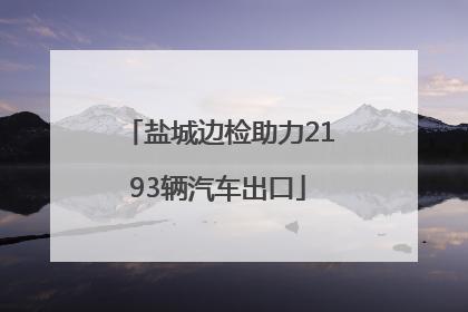 盐城边检助力2193辆汽车出口