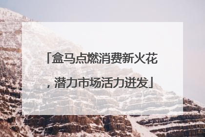 盒马点燃消费新火花，潜力市场活力迸发
