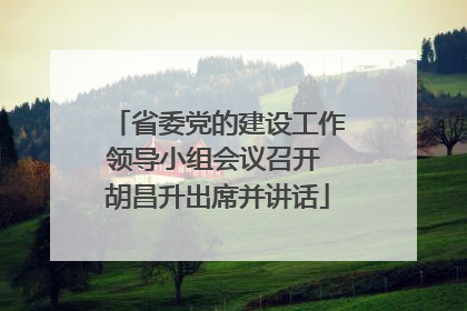 省委党的建设工作领导小组会议召开 胡昌升出席并讲话