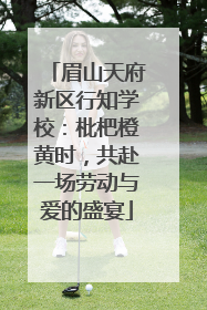 眉山天府新区行知学校：枇杷橙黄时，共赴一场劳动与爱的盛宴