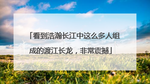 看到浩瀚长江中这么多人组成的渡江长龙，非常震撼