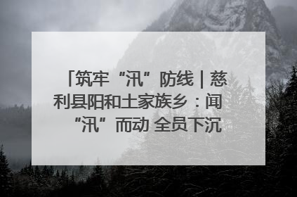 筑牢“汛”防线｜慈利县阳和土家族乡：闻“汛”而动 全员下沉筑牢防汛“安全堤”