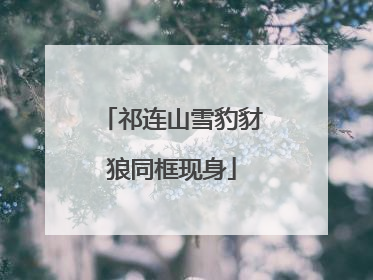 祁连山雪豹豺狼同框现身