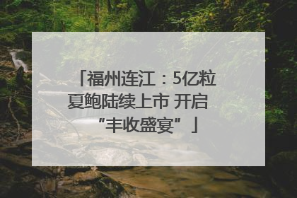 福州连江：5亿粒夏鲍陆续上市 开启“丰收盛宴”