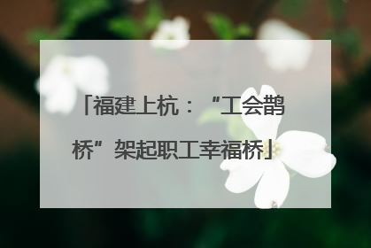 福建上杭：“工会鹊桥”架起职工幸福桥