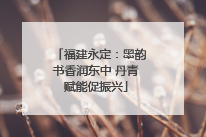 福建永定：墨韵书香润东中 丹青赋能促振兴