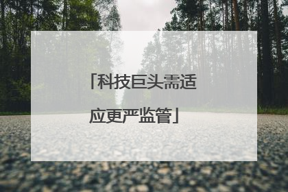 科技巨头需适应更严监管