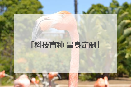科技育种 量身定制